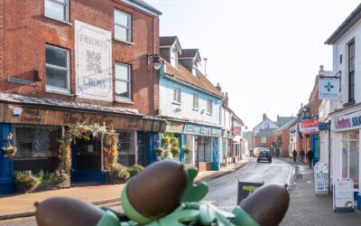 The Ringwood Society Annual General Meeting – 24th March 2026